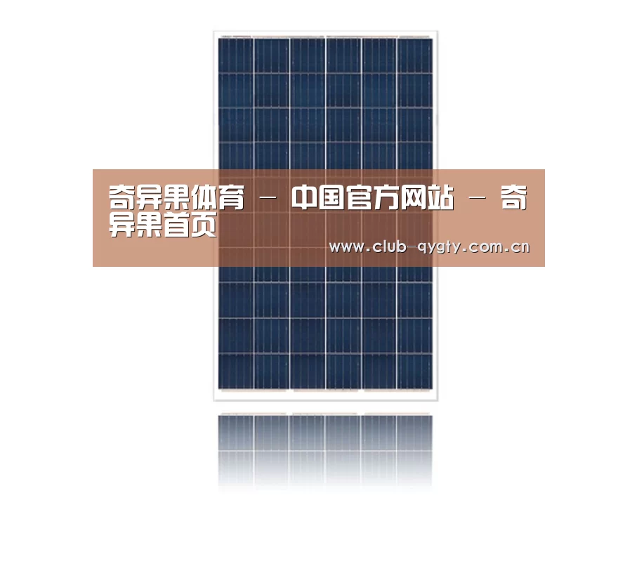 产品名称一