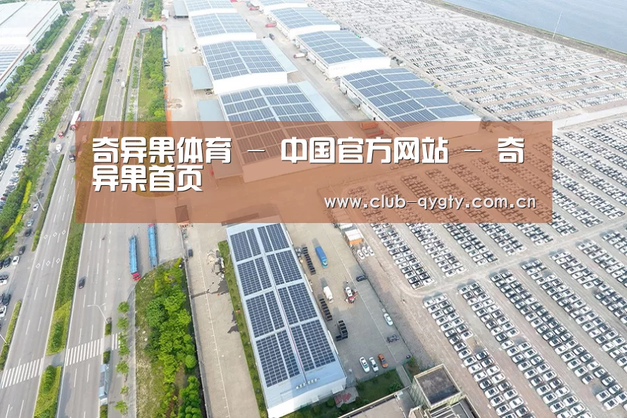 案例展示一