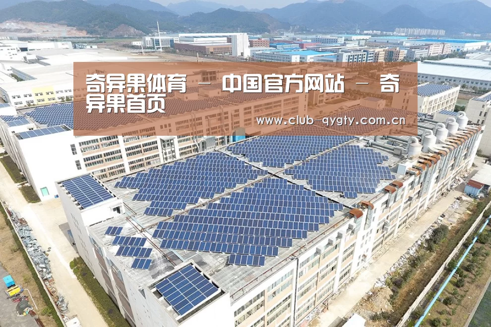 案例展示四