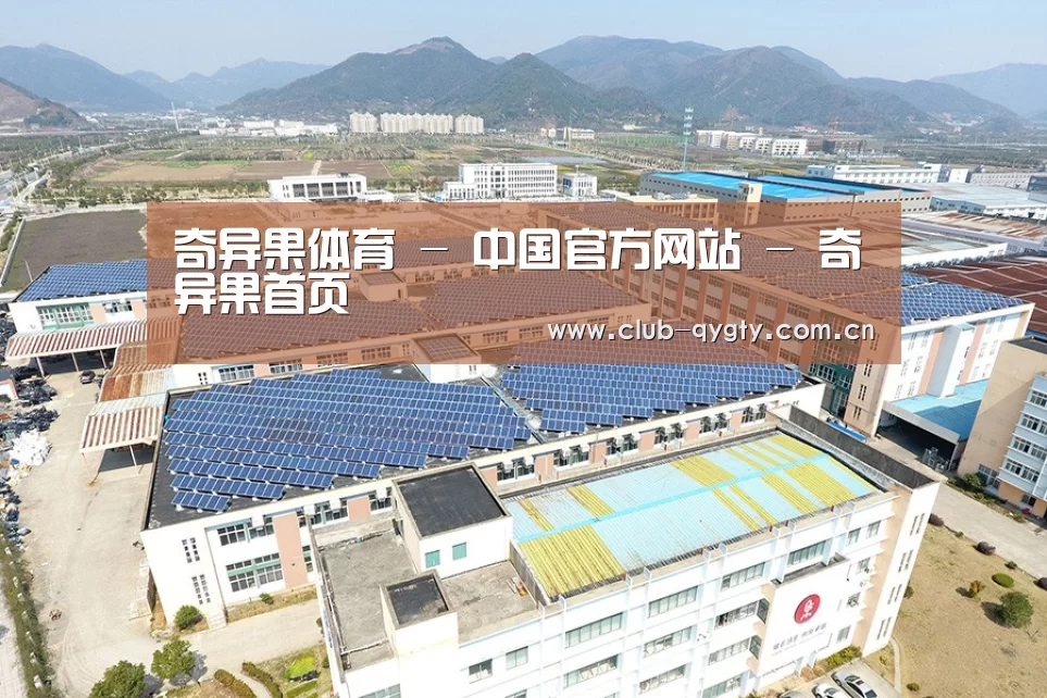 案例展示三