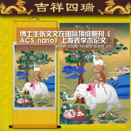 奇异果体育平台