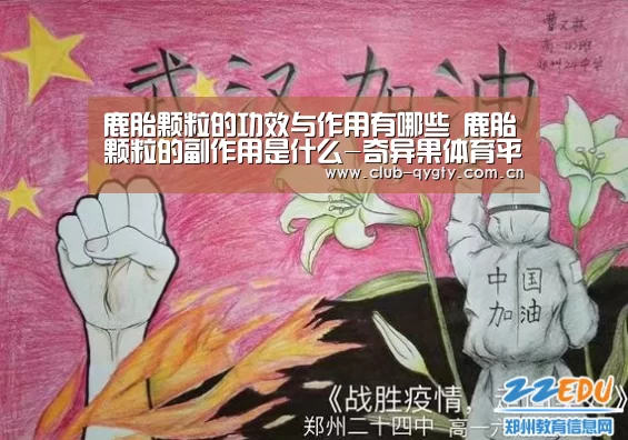 鹿胎颗粒的功效与作用有哪些 鹿胎颗粒的副作用是什么-奇异果体育平台(图1) 奇异果体育平台