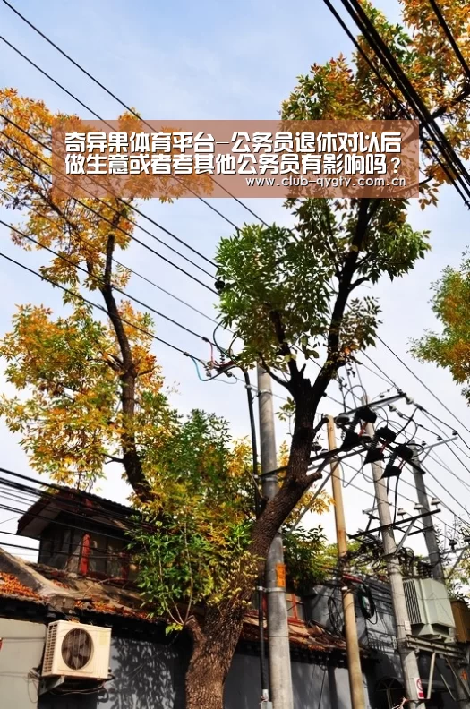 奇异果体育平台