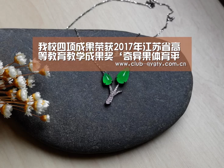 我校四项成果荣获2017年江苏省高等教育教学成果奖‘奇异果体育平台’(图1) 奇异果体育平台